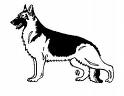 germanshepherd01.jpg